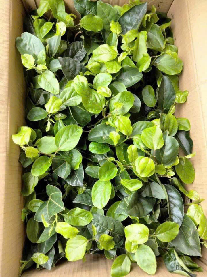 397989242_295550516695577_6775597118203190391_n