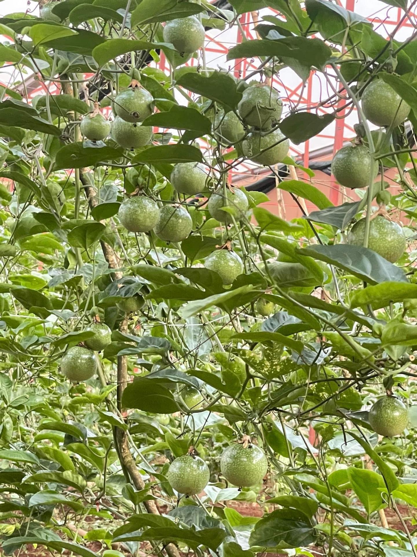 398261525_295551466695482_8915051872468132836_n