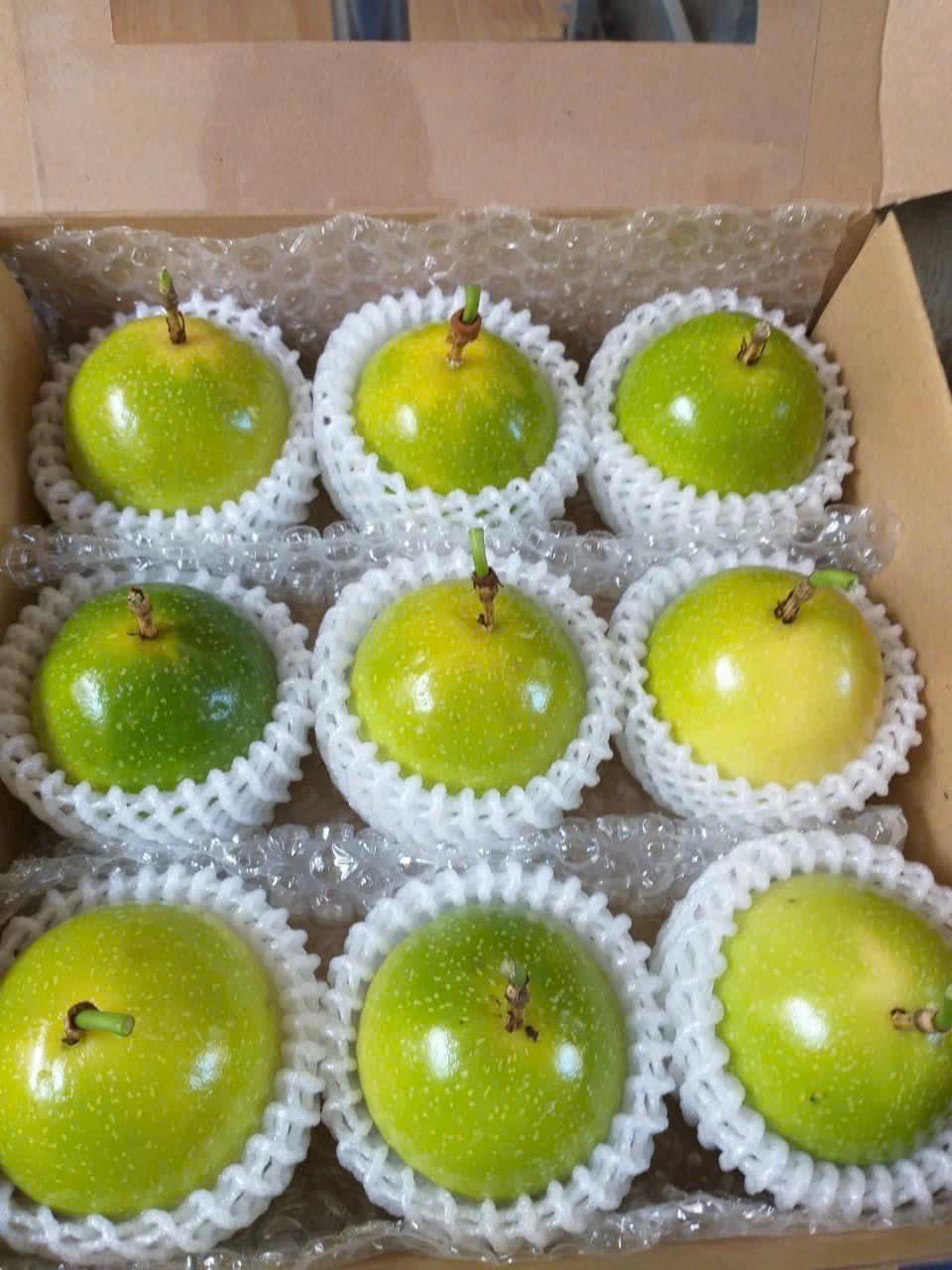 398307640_295551456695483_5144456218790058245_n