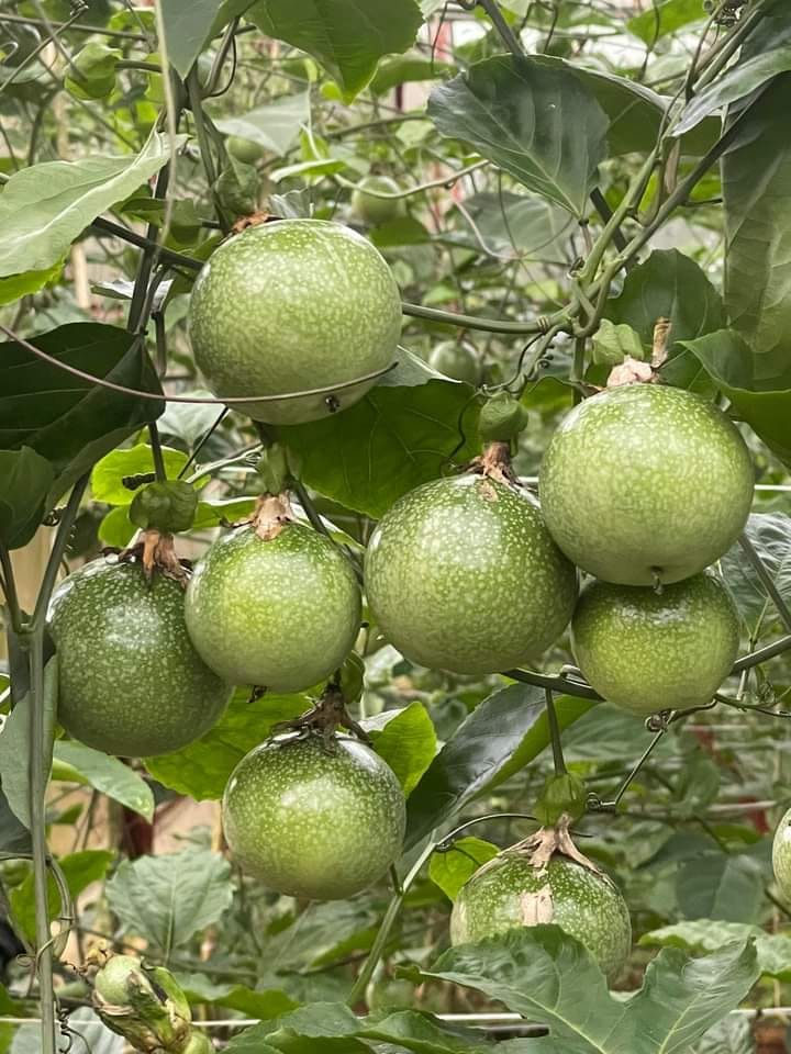 401848749_3066444293489787_3889616453483559755_n